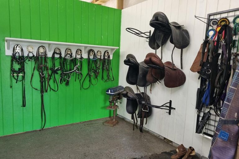 Photo of property in 218 Tarata Road, Inglewood, 4387