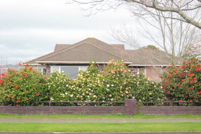 Photo of property in 134 Weraroa Road, Levin, 5510