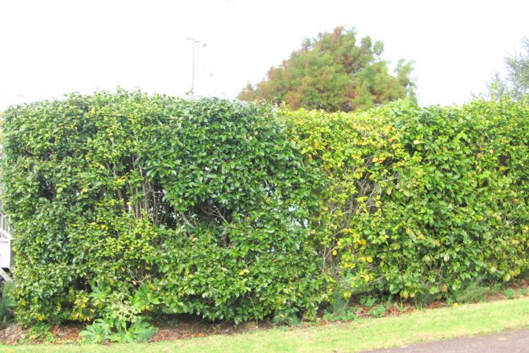 Photo of property in 4 Fairway Avenue, Red Beach, 0932