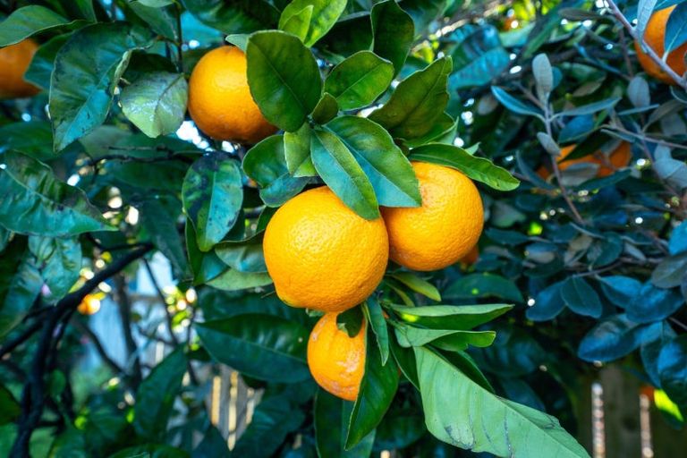 Photo of property in 16 Kendall View, Stoke, Nelson, 7011