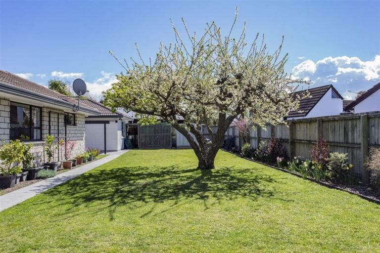 Photo of property in 214 Williams Street, Kaiapoi, 7630
