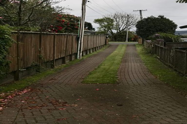 Photo of property in 46 Kaka Street, Taupo, 3330