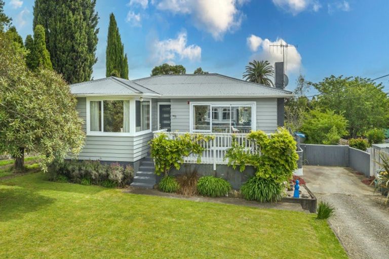 Photo of property in 261 Cambridge Street, Levin, 5510