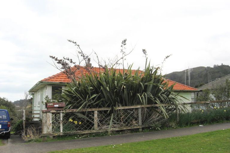 Photo of property in 107 Hauraki Terrace, Thames, 3500