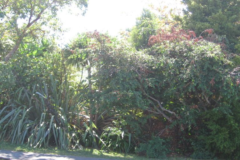 Photo of property in 17 Sunrise Avenue, Murrays Bay, Auckland, 0630