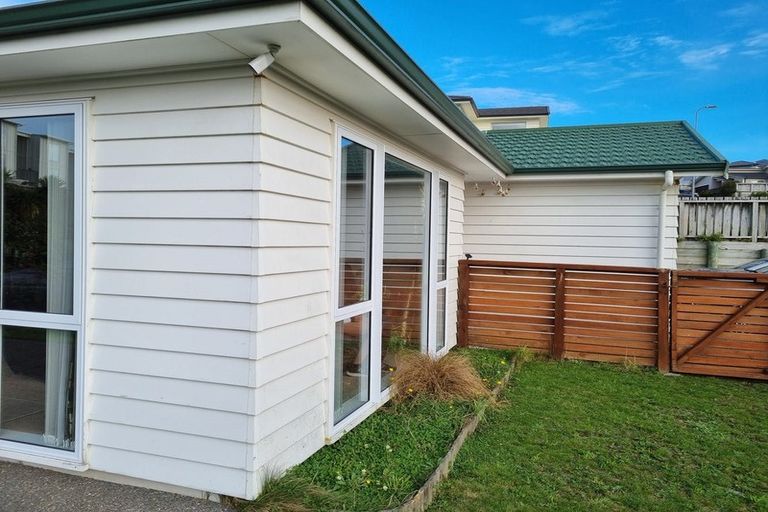 Photo of property in 17 Ashwood Street, Woodridge, Wellington, 6037