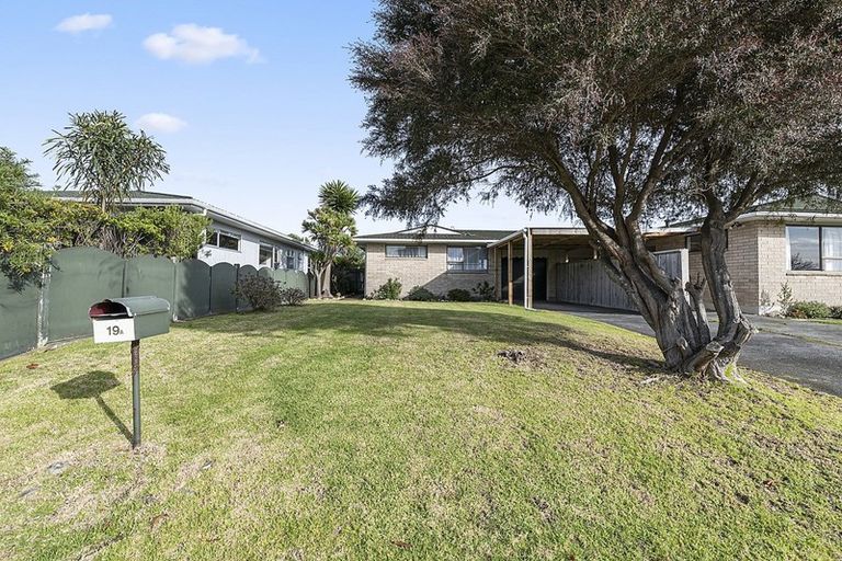 Photo of property in 19a Andrew Street, Waikanae, 5036