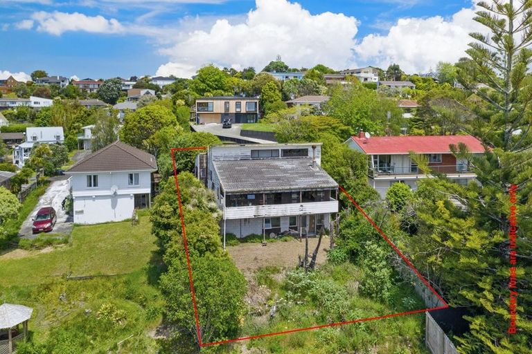 Photo of property in 119 Stredwick Drive, Torbay, Auckland, 0630