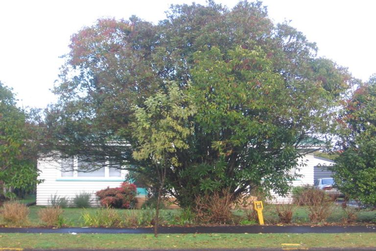 Photo of property in 20 Odette Street, Bader, Hamilton, 3206