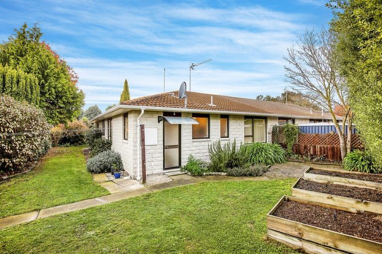 Photo of property in 4a Bowie Drive, Woodend, 7610