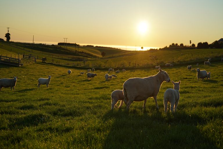 Photo of property in 361 Marshall Road, Otaio, Timaru, 7971