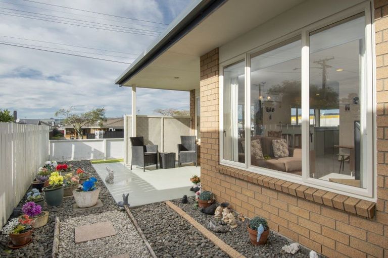 Photo of property in 135a Greerton Road, Gate Pa, Tauranga, 3112