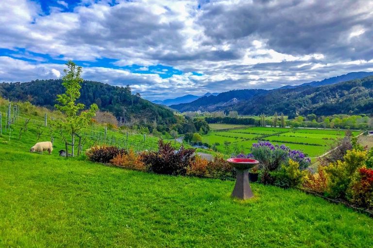 Photo of property in 9 Wharua Tiro Place, Motueka, 7196