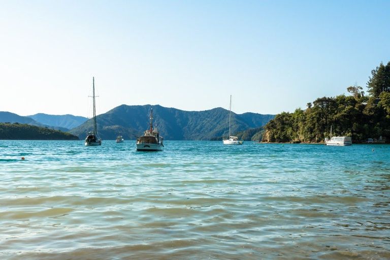 Photo of property in 79-113 Port Underwood Road, Waikawa, Picton, 7281