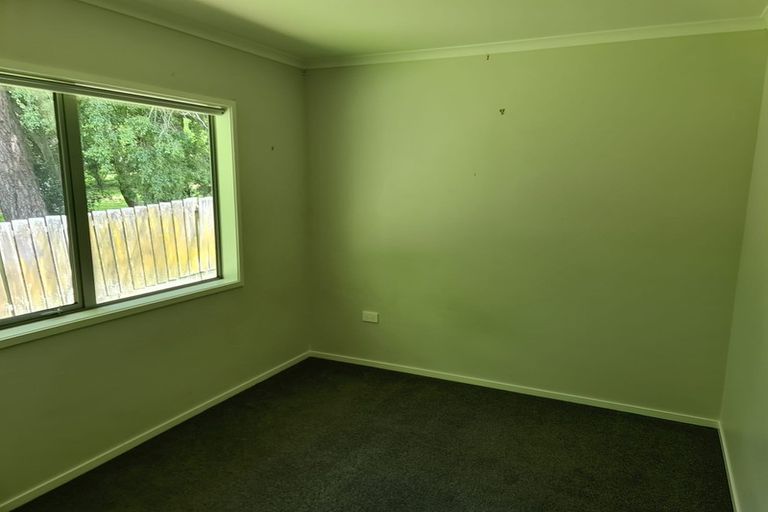 Photo of property in 24b Harrier Street, Parkvale, Tauranga, 3112