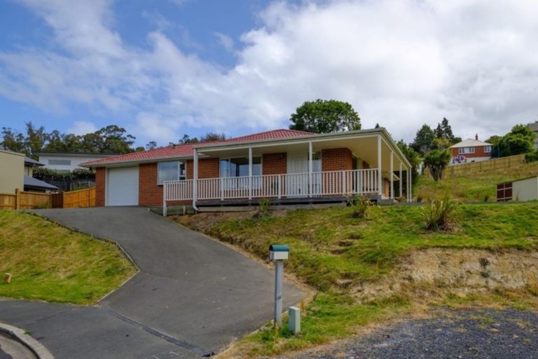 Photo of property in 17 Sretlaw Place, Brockville, Dunedin, 9011