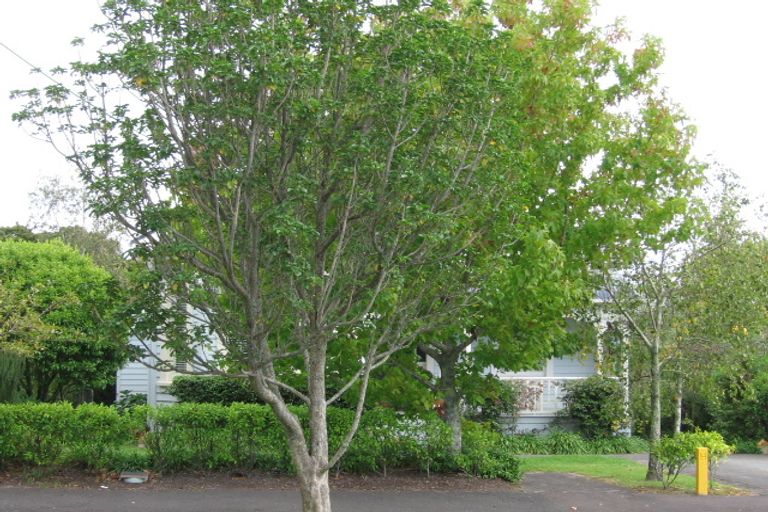 Photo of property in 21 Glen Road, Stanley Point, Auckland, 0624