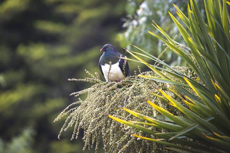 Photo of property in 28 Valley Road, Cashmere, Christchurch, 8022