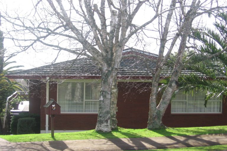 Photo of property in 13 Barberton Terrace, Red Hill, Papakura, 2110