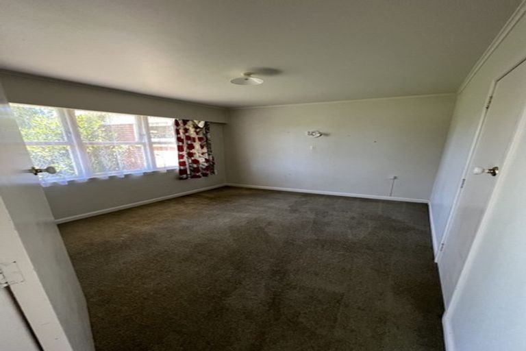 Photo of property in 163 River Road, Hamilton East, Hamilton, 3216