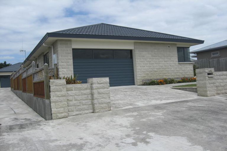Photo of property in 132 Warwick Street, Feilding, 4702