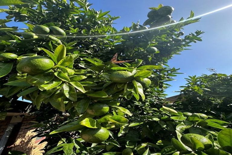 Photo of property in 2 Second Avenue, Avenues, Whangarei, 0110