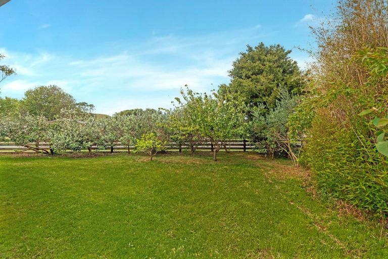 Photo of property in 79 Paraone Road, Tamarau, Gisborne, 4010