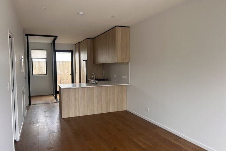 Photo of property in 53 Hadlow Terrace, Grey Lynn, Auckland, 1021
