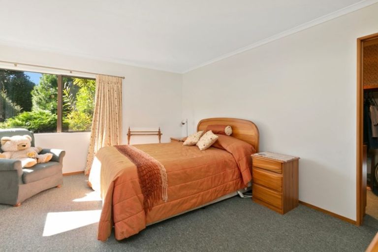 Photo of property in 955 Te Matai Road, Te Ranga, Te Puke, 3188