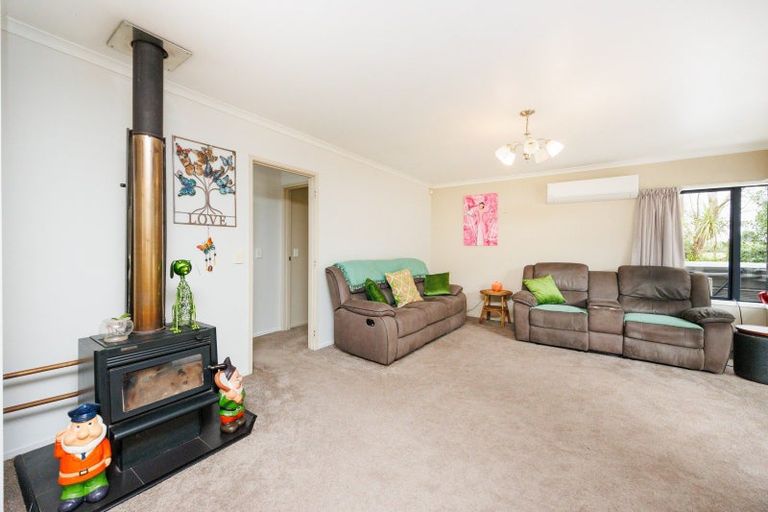 Photo of property in 264 Motuiti Road, Foxton, 4891