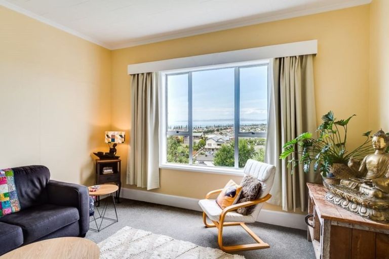 Photo of property in 22 Colenso Avenue, Hospital Hill, Napier, 4110