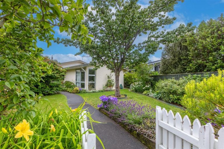 Photo of property in 16 Mckeefry Avenue, Greenmeadows, Napier, 4112