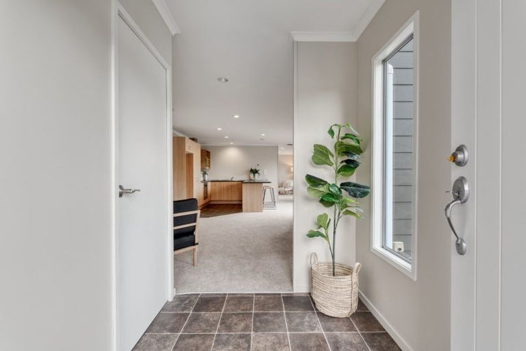 Photo of property in 5b Winiata Street, Brookfield, Tauranga, 3110