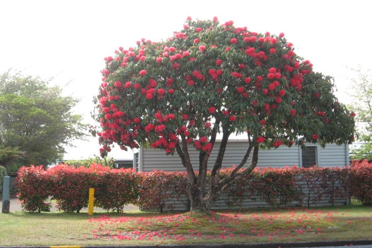 Photo of property in 119 Koutu Road, Kawaha Point, Rotorua, 3010