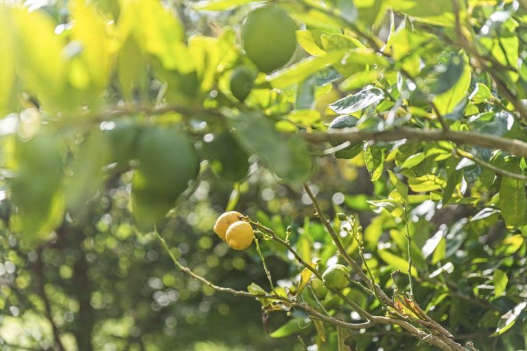 Photo of property in 6388a South Road, Pungarehu, 4685