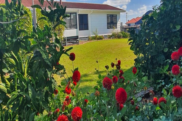 Photo of property in 20 Waihou Street, Turua, Thames, 3574