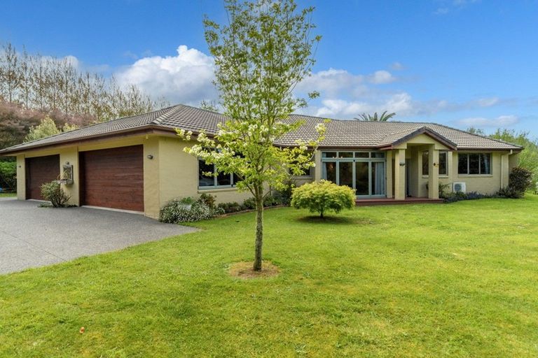 Photo of property in 125 Leyland Road, Whakamarama, Tauranga, 3179