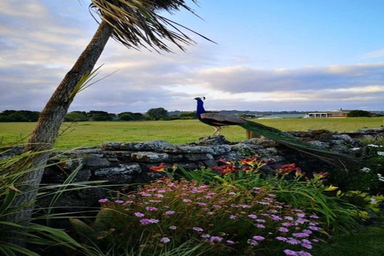 Photo of property in 121 Muir Avenue, Mangere Bridge, Auckland, 2022