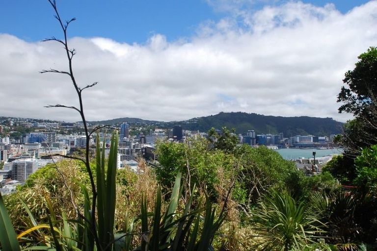 Photo of property in 20 Earls Terrace, Mount Victoria, Wellington, 6011