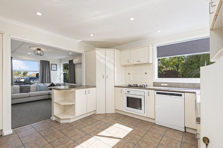 Photo of property in 80a Manson Street, Terrace End, Palmerston North, 4410