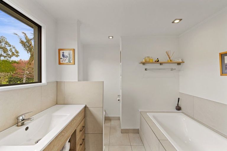 Photo of property in 293 Pahoia Road, Whakamarama, Tauranga, 3172