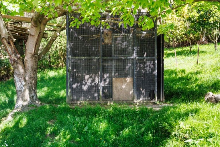 Photo of property in 941 Finnis Road, Pohangina, Ashhurst, 4884