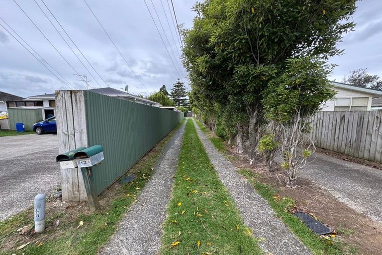 Photo of property in 12 Friedlanders Road, Manurewa, Auckland, 2102