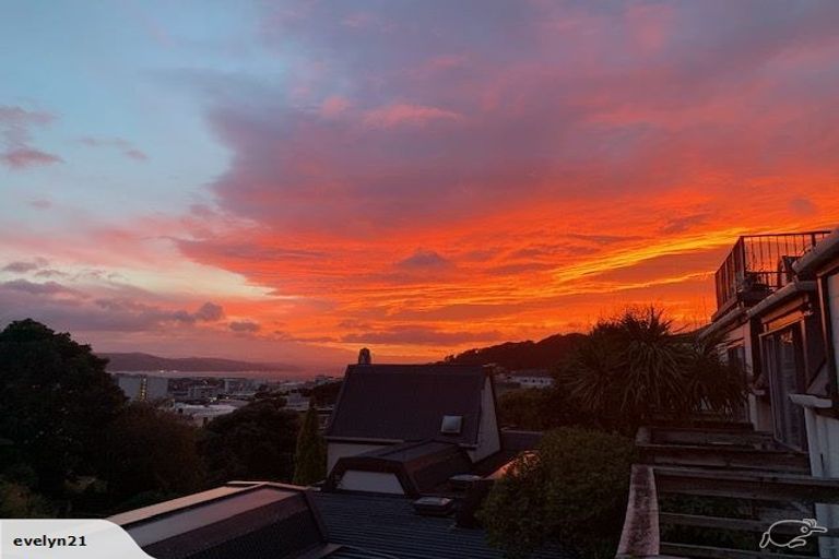 Photo of property in Sherwood Mews, 28l Bidwill Street, Mount Cook, Wellington, 6021