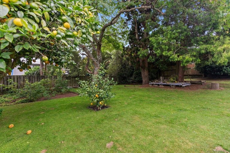 Photo of property in 14 Kauri Street, Hillcrest, Rotorua, 3015