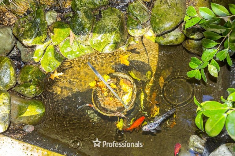 Photo of property in 10 Hobbit Lane, Pinehaven, Upper Hutt, 5371