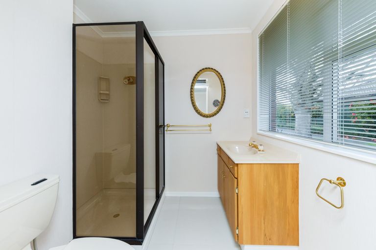 Photo of property in 453 Ruahine Street, Terrace End, Palmerston North, 4410