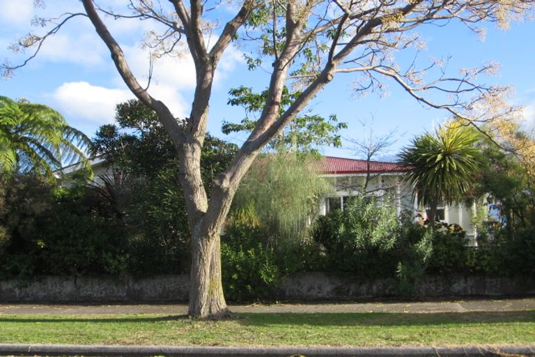 Photo of property in 68 Mcdonald Street, Napier South, Napier, 4110