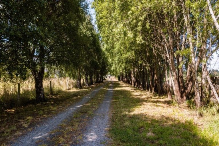 Photo of property in 80 Centre Bush Otapiri Road, Centre Bush, Winton, 9782