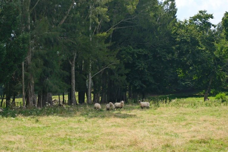 Photo of property in 89b Hawthornden Drive, Tikitere, Rotorua, 3074